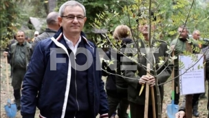 Ekonomski potencijal šuma