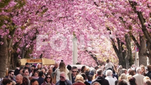 Mladi žele u inostranstvo