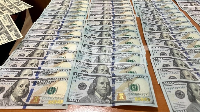 Ukrala dolare i evre iz kuće