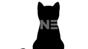 Urušavanje ljudskih prava 