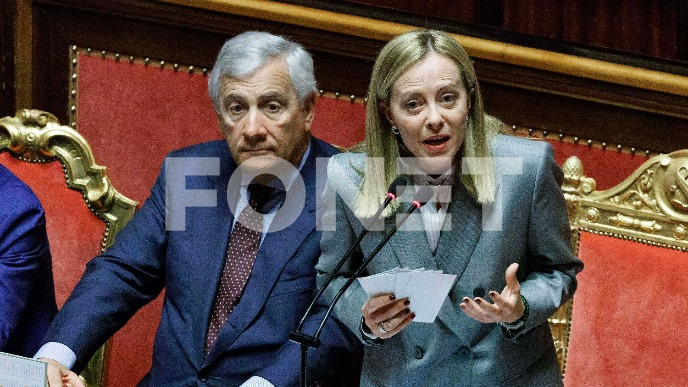 FoNet/AP-SENAT-MELONI