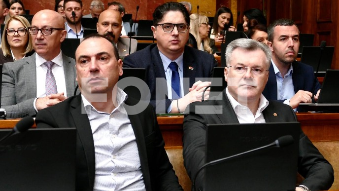 Strategija o resursima Srbije