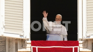 Lopovi otimaju budućnost