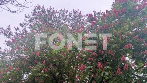 Za Prvi maj oblačno