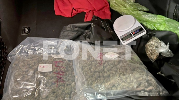 Zaplenjena marihuana