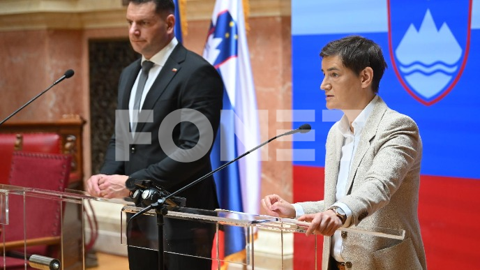 FoNet-BRNABIĆ-STEVANOVIĆ