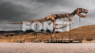 Rekordna cena za dinosaurusa
