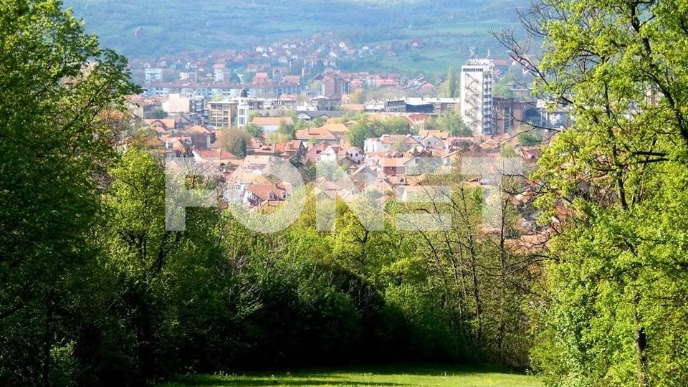 Podrška Istočnoj Srbiji