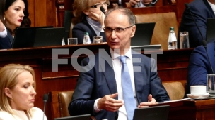 Sličnost fikusa i Macuta