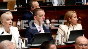 Seleš nema diplomatski pasoš