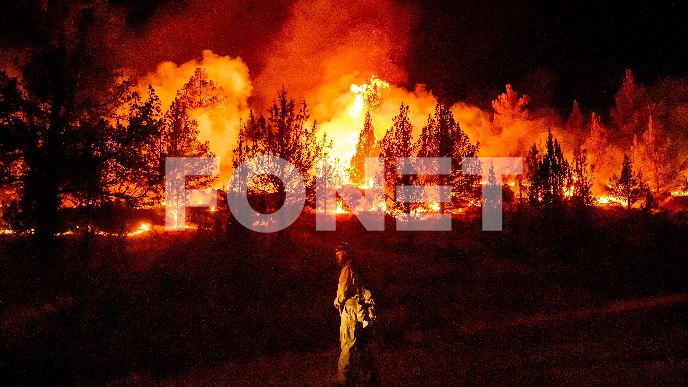 Požari širom južne Turske