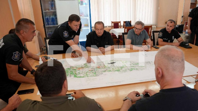 Lokalizovan požar kod Kladova 