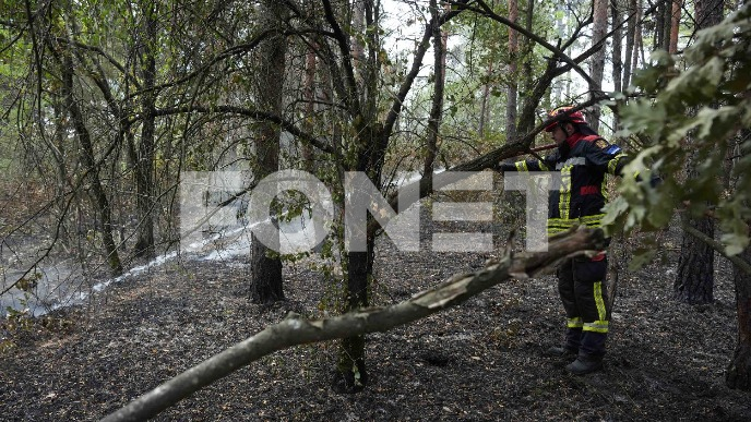 Ugašeni požari na planinama 
