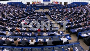 EU da reaguje zbog Mladića 