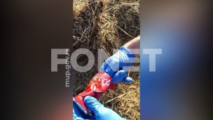Hapšenje zbog droge sa Kosova