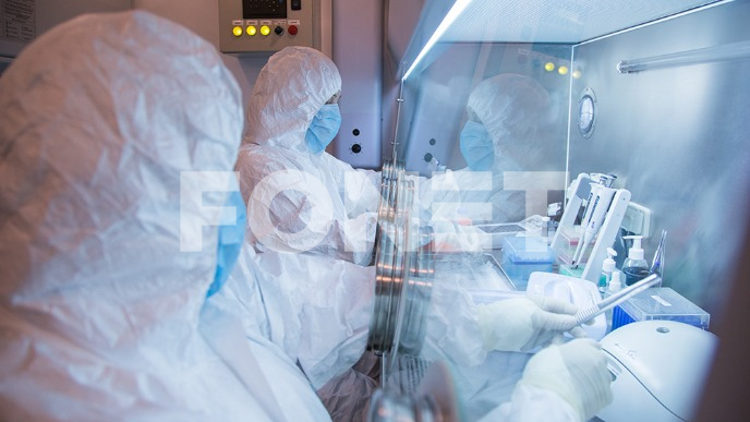 Nema rizika od epidemije