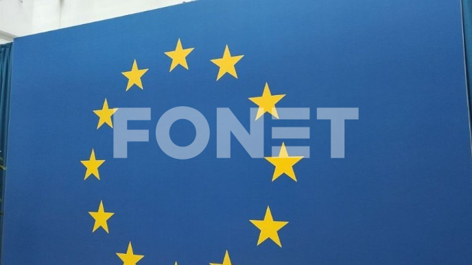 Energija aktivizma ka EU
