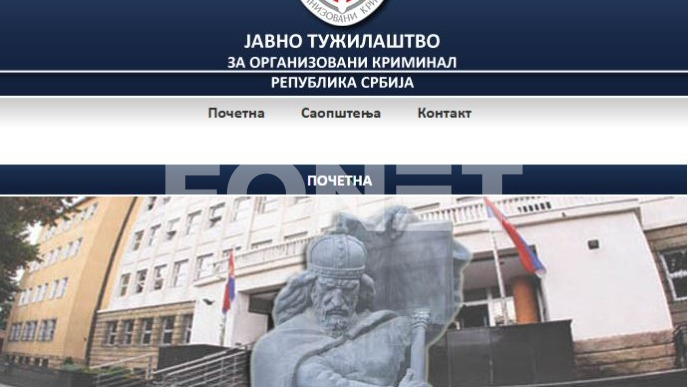 Predmeti povodom prava glasa