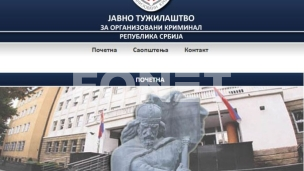 Predmeti povodom prava glasa