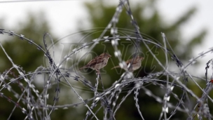 U Preševu ograda zbog migranata