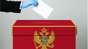 DPS 29 mandata, ZBCG 28