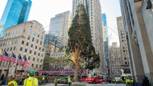 Božićno drvo u Njujorku