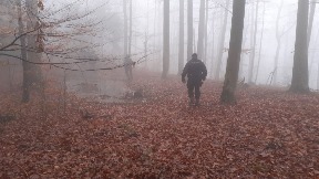 Pronađeni ostaci aviona