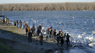 Krcat Zemunski kej