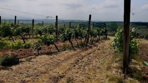 Udvostručen izvoz u Srbiju