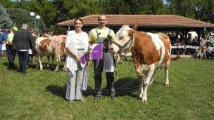 Prazne seoske kuće