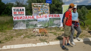 Razgovor o rešenju za Revu