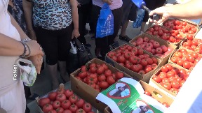 Poljoprivrednici poklonili paradajz