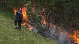 Mokra Gora: Lokalizovan požar