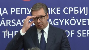 Zamolio Vulina da povuče zakon