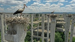 Rode na propaloj investiciji