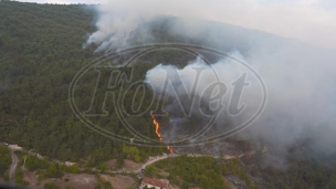 Izgorelo 100 hektara šume