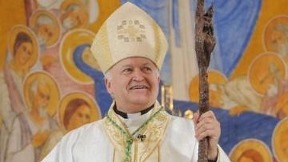 Ustoličen Ladislav Nemet