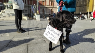 Usvojeni zahtevi peticije
