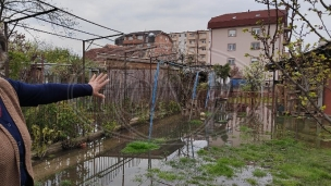 Fekalije u dvorištima 