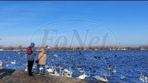 DS: Da li je voda bezbedna 