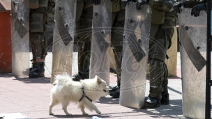 Ne ugrožavati vojnike KFOR