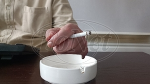 Šume nestaju zbog duvana