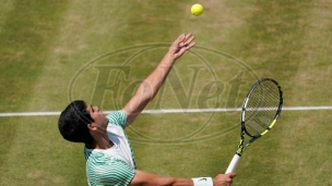 Alkaras pobednik Kvinsa 