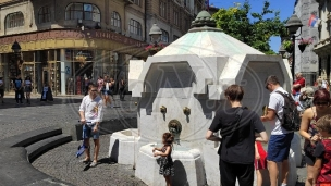 Manje rođenih i umrlih