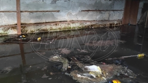 Urušava se Zastava promet