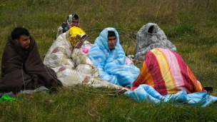 Oslobođeno 385 migranata 