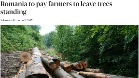 Plaćaju šumare da ne seku drva