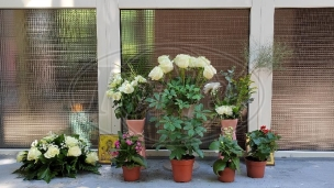 Koristiti drugi ulaz u školu