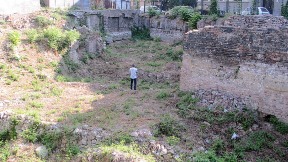 Pisac u biblioteci