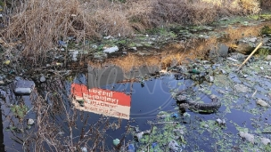 Zagađenje kanala Kalovita 